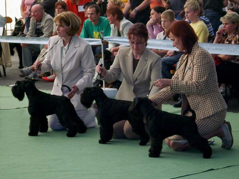 The Best Kennel ISPU 2007